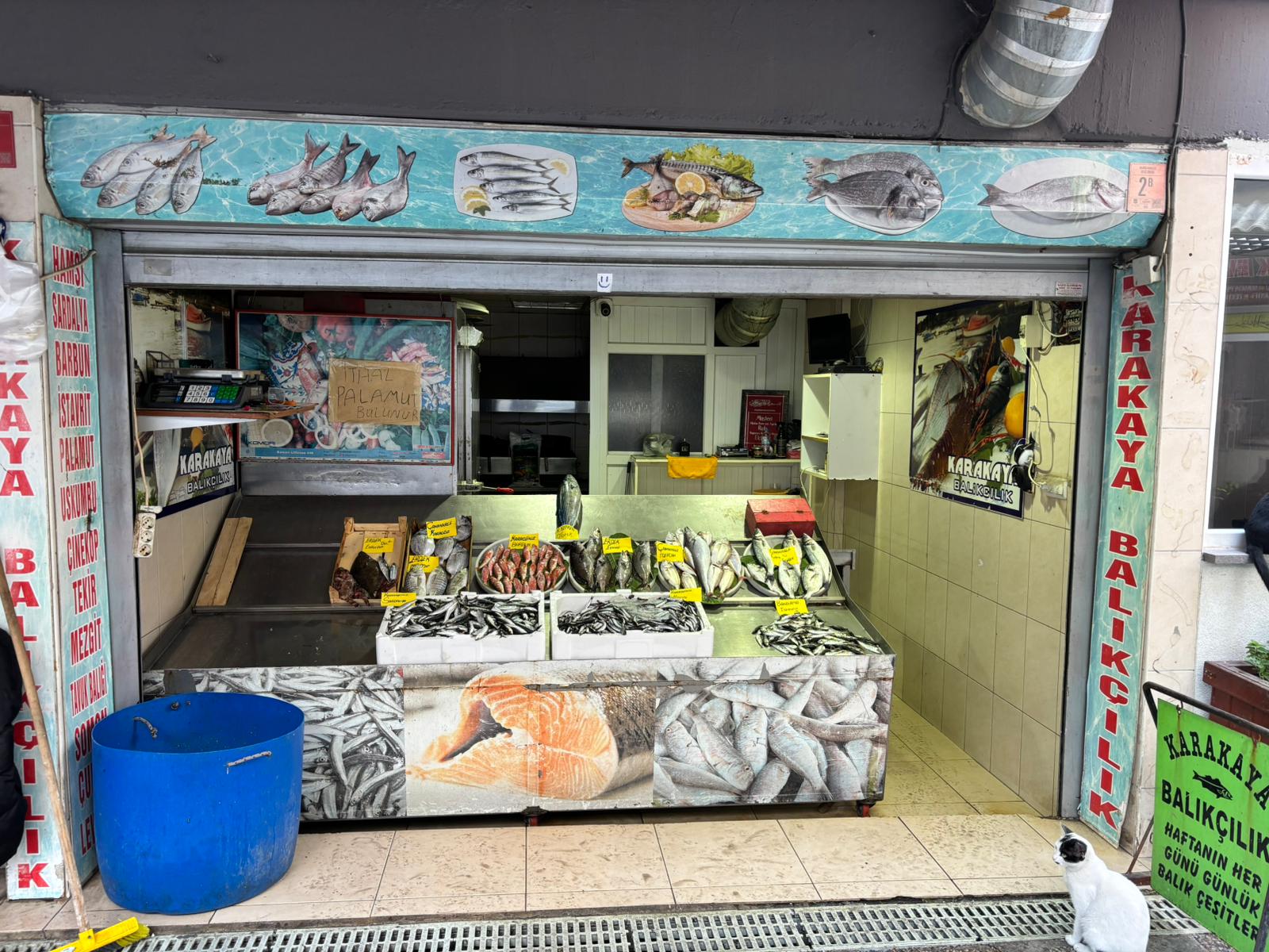 Karakaya Balıkçılık